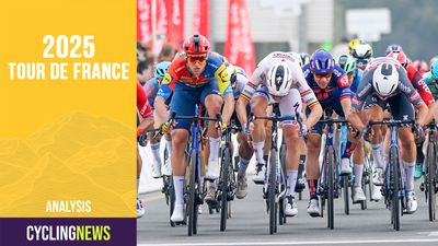 Who are the fastest sprinters of the 2025 Tour de France?