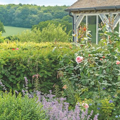 5 plants that bloom twice a year – the varieties garden experts recommend to deliver double the colour and flowers