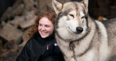 Film inspired by Scottish folklore to take centre stage at world's largest comic con