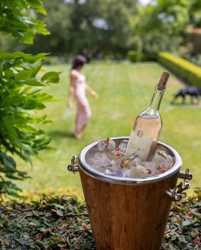 Is Meghan Markle 'Milking' Princess Diana Legacy In New Line of Rose Wines? What Does Prince Harry Think?