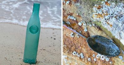 Here Are 28 Of The Most Interesting Things I’ve Found On The Beach While Looking For Treasures (New Pics)