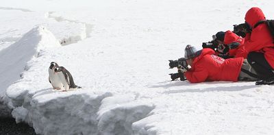 More and more tourists are flocking to Antarctica. Let’s stop it from being loved to death