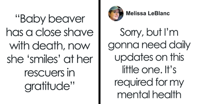 Adorable Baby Beaver Smiles After Being Rescued, Melts All The Hearts Online And In Real Life