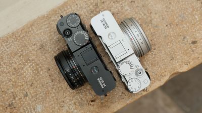 Sorry, compact cameras, but mirrorless is actually the trendiest camera, according to shipment numbers