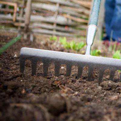 Is your soil too acidic or too alkaline? Experts share the best way to change your soil's PH to make it more plant-friendly