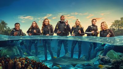 ITV finally reveals release date for bonkers new reality show SHARK! Celebrity Infested Waters