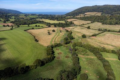 Labour delivers mixed picture on environment after one year, campaigners say
