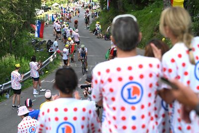 I've been to seven Tours de France as a fan – here are my tips if you're going to spectate for the first time