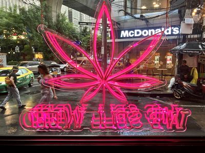 As Thailand does U-turn on legal cannabis, businesses scramble to survive