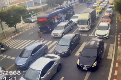 Student hit by bus while using zebra crossing