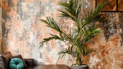 Why is my indoor palm tree turning yellow? 5 possible reasons and expert solutions to bring your plant back to full health