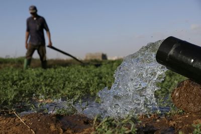 Drought-hit Morocco Turns To Desalination To Save Vegetable Bounty