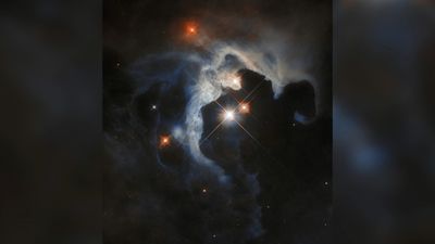 Hubble Telescope finds stellar nursery in Taurus Molecular Cloud | Space photo of the day for July 2, 2025