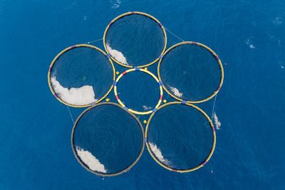 Takeaways from AP report on company that sold 200,000 carbon credits to remove CO2 from ocean