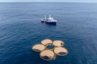 Company's carbon credits raise questions about unproven ocean technology to fight global warming
