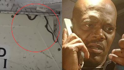 A Snake Has Wreaked Havoc On A Virgin Airlines Flight After It Was Found In Its Cargo