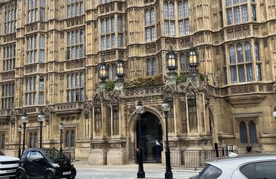 'Scandalous waste of money': New Parliament front door cost nearly £10million and doesn't work