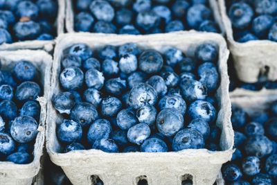 FDA's Blueberry Recall For Listeria Gets Highest Risk Level: What Dangers Should You Be Aware Of