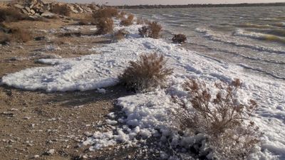 ‘We thought we’d got the numbers wrong’: how a pristine lake came to have the highest levels of ‘forever chemicals’ on record