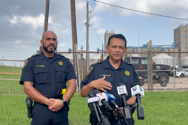 Three young children die in hot cars in four days after being left alone