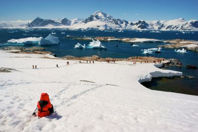 Why you should consider taking Antarctica off your bucket list