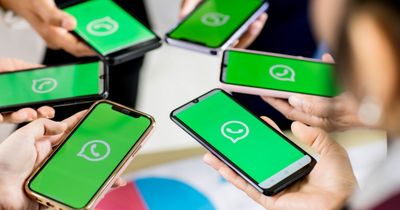 WhatsApp Adds New Tools for Businesses