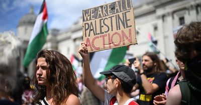 Former government lawyer to defy Palestine Action ban in Parliament Square protest