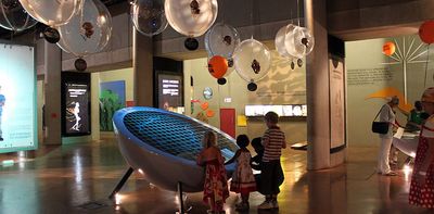 Fun with fossils: South African kids learn a whole lot more about human evolution from museum workshops