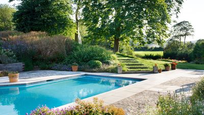 How to get rid of water bugs – 7 expert-recommended home remedies, plus how to correctly identify them