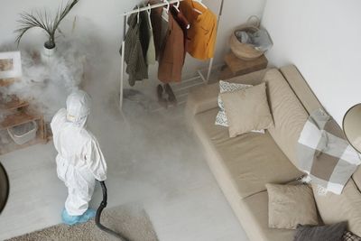 6 DIY Pest Control Tricks That Made the Problem Worse