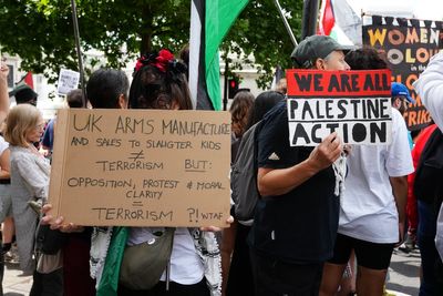 Gap in law could see young people ‘committing terrorist acts by weekend’ – peer