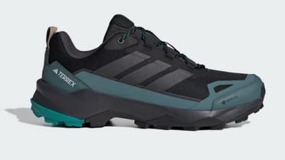 Adidas Terrex drops the technical new Skychaser AX5 waterproof hiking shoe, and it's $40 cheaper than the original