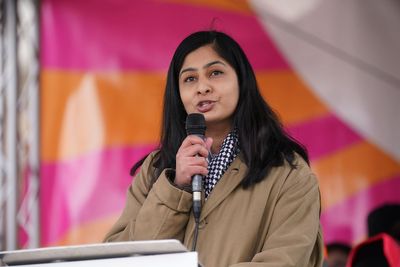 Former Labour MP fires parting shot at government in resignation