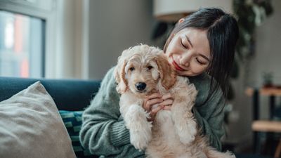 10 things I’m doing as a first-time dog owner to prepare for my new puppy