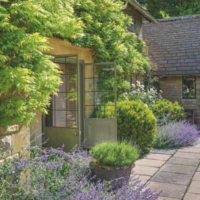 8 of the most calming plants to grow in your garden to transform your outdoor space into a soothing sanctuary