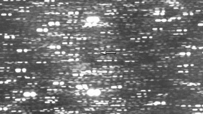 Watch newly discovered 'interstellar visitor' 3I/ATLAS shoot toward us in first livestream