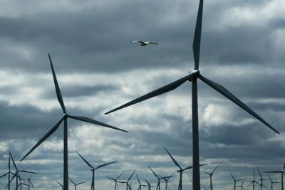 Ministers reveal plan to nearly double onshore wind across England by 2030