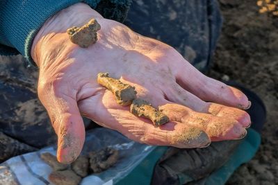 Rare sword find leads to discovery of Iron Age Roman settlement
