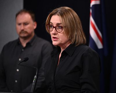 Afternoon Update: Victorian health acknowledges family’s distress; Trump accused of using antisemitic slur; and the brooding charisma of Michael Madsen