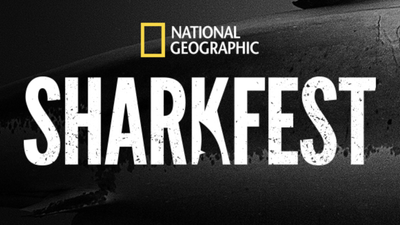 How to watch 'Sharkfest' online from anywhere — stream the TV event online from anywhere