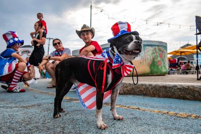 How to keep your dog safe and calm during Fourth of July fireworks