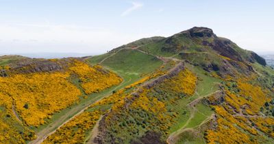 Major safety works to begin at Holyrood Park after rockfall fears