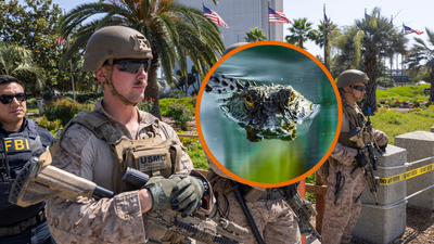 ‘That’s… unusual’: Donald Trump orders Marines into Florida, says they’re now under ICE command