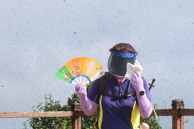 What is causing South Korea’s ‘lovebug’ crisis?
