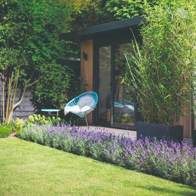 The superhero plant everyone should plant in their garden this summer to deter pests and attract pollinators