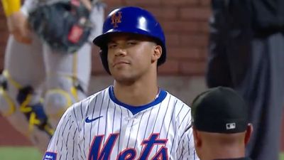 Juan Soto's Skeptical Reaction to Umpire's Check-Swing Call Became a Meme