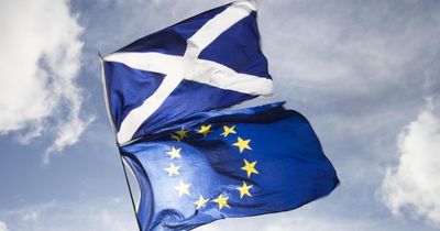 Network promoting Scotland in Europe shuts after funding is pulled