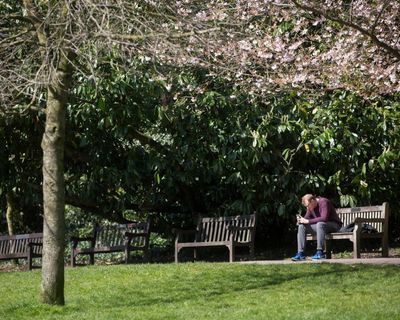 Public parks offer value that privately developed spaces can’t match