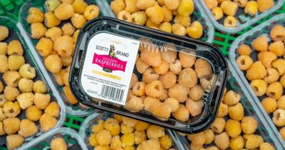 Rare Scottish-grown golden raspberries to hit shelves of major supermarket