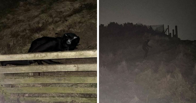 Mysterious Figure Terrorizes Neighborhood At Night By Crawling Around In Full-Body Cat Suit